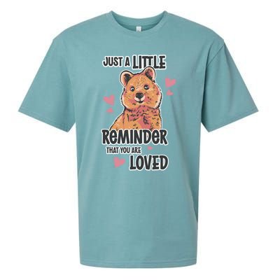 Valentines Day Bear Lovely Heart Relationship Roce Love Funny Gift Sueded Cloud Jersey T-Shirt