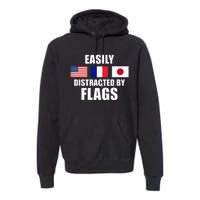 Vexillology Distracted By Flags Premium Hoodie