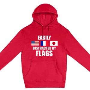 Vexillology Distracted By Flags Premium Pullover Hoodie