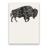 Vintage Distressed Bison Poster