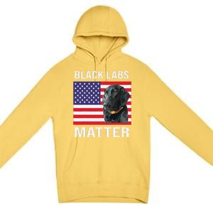 Veterans Day Black Labs Lives Matter Parody Labrador Dog Premium Pullover Hoodie