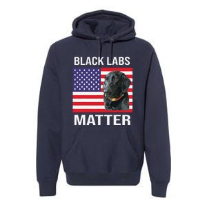 Veterans Day Black Labs Lives Matter Parody Labrador Dog Premium Hoodie