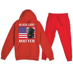 Veterans Day Black Labs Lives Matter Parody Labrador Dog Premium Hooded Sweatsuit Set