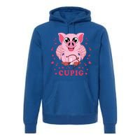 Valentine's Day Cupig Funny Gift Cute Pig Lover Cupid Pun Great Gift Premium Hoodie