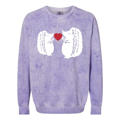 Valentines Day Costume Hedgehog Heart Love My Valentines Cool Gift Colorblast Crewneck Sweatshirt