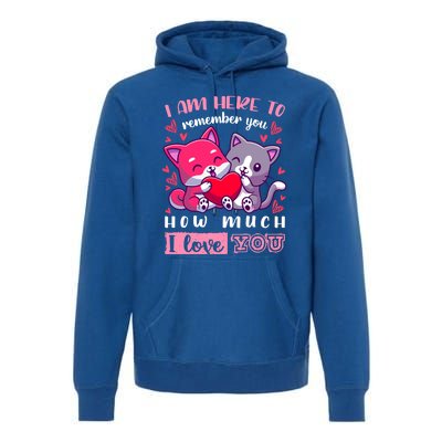 Valentine's Day Couple Pajama Cats With Heart And Saying Meaningful Gift Premium Hoodie