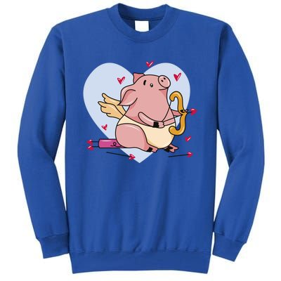 Valentine’s Day Cupid Pig Friend Friend Gift Tall Sweatshirt