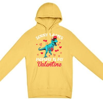 Valentines Day Dinosaur Heart Mom Funny Lovers Cool Gift Premium Pullover Hoodie