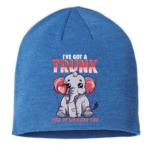 Valentine's Day Full Of Love For You Cute Elephant Gift Funny Gift Sustainable Beanie