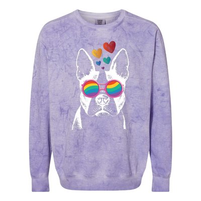 Valentine Dog Funny Valentines Day Colorblast Crewneck Sweatshirt