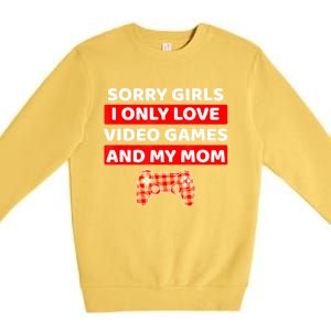 Valentines Day For Video Games Funny Gamer Premium Crewneck Sweatshirt