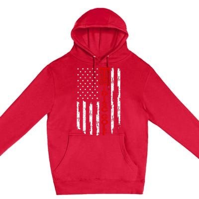 Vintage Disc Golf Basket American Flag For Disc Golfers Premium Pullover Hoodie