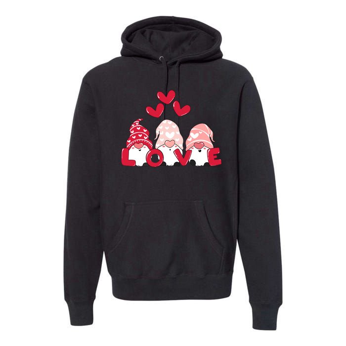 Valentines Day Gnomes Premium Hoodie