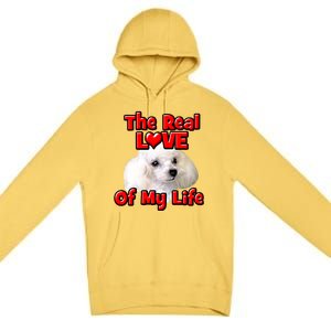 Valentine's Day Gift For Poodle Dog Lovers And Owners Cool Gift Premium Pullover Hoodie