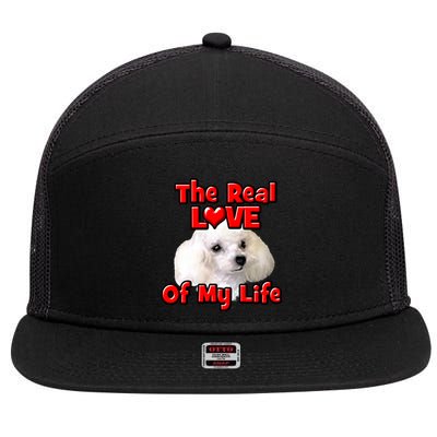 Valentine's Day Gift For Poodle Dog Lovers And Owners Cool Gift 7 Panel Mesh Trucker Snapback Hat