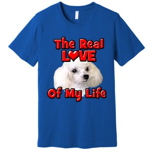 Valentine's Day Gift For Poodle Dog Lovers And Owners Cool Gift Premium T-Shirt