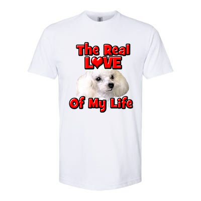 Valentine's Day Gift For Poodle Dog Lovers And Owners Cool Gift Softstyle® CVC T-Shirt