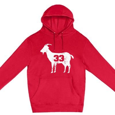 Vintage Distressed GOAT 33 Apparel Premium Pullover Hoodie