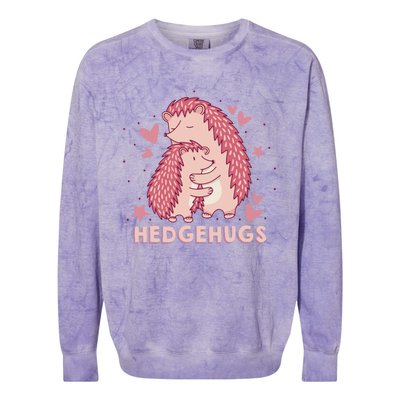 Valentines Day Hedgehog Cuddle Animal Lovers Hedgehugs Gift Colorblast Crewneck Sweatshirt