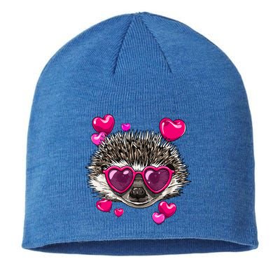 Valentines Day Hedgehog Funny Hedgehog Lover Gift Sustainable Beanie