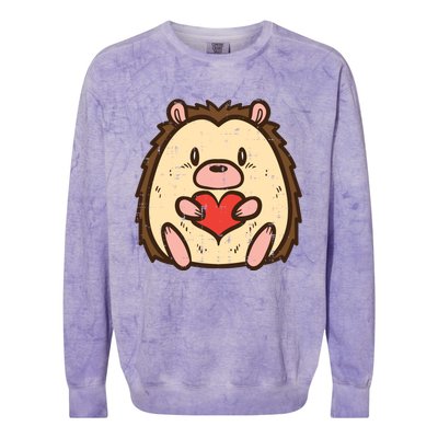 Valentines Day Hedgehog Heart Great Gift Colorblast Crewneck Sweatshirt