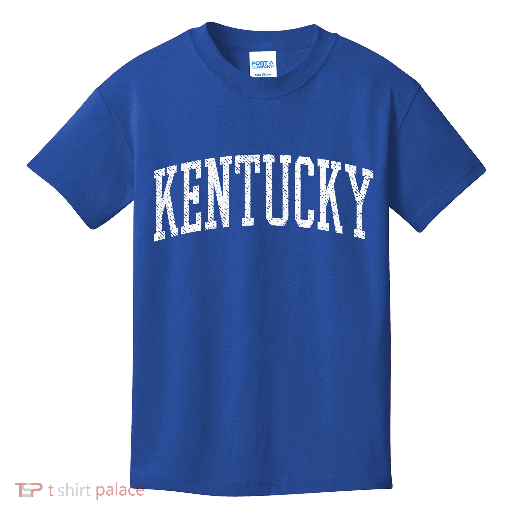 Varsity Distressed Kentucky Kids T-Shirt