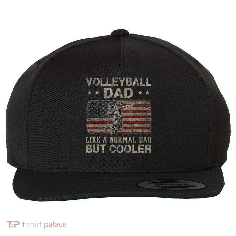 Volleyball Dad Like A Normal Dad But Cooler Father's Day Wool Snapback Cap
