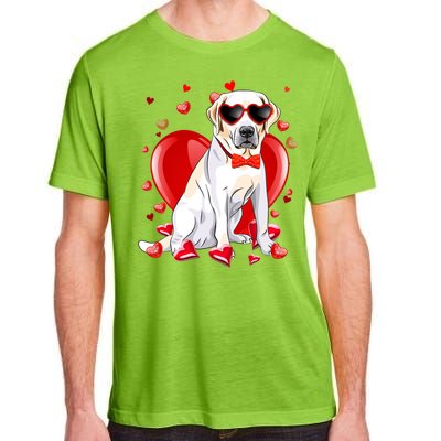 Valentines Day Labrador Retriever Gift Funny Dog Lover Gift Adult ChromaSoft Performance T-Shirt