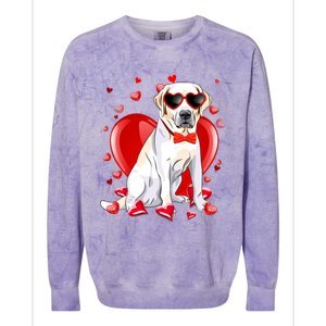 Valentines Day Labrador Retriever Gift Funny Dog Lover Gift Colorblast Crewneck Sweatshirt