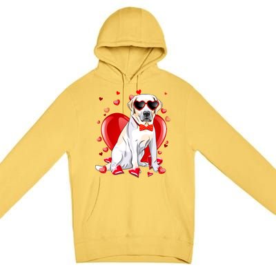 Valentines Day Labrador Retriever Gift Funny Dog Lover Gift Premium Pullover Hoodie