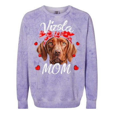 Vizsla Dog Mom Vizsla Mom Puppy Funny Mothers Day Colorblast Crewneck Sweatshirt