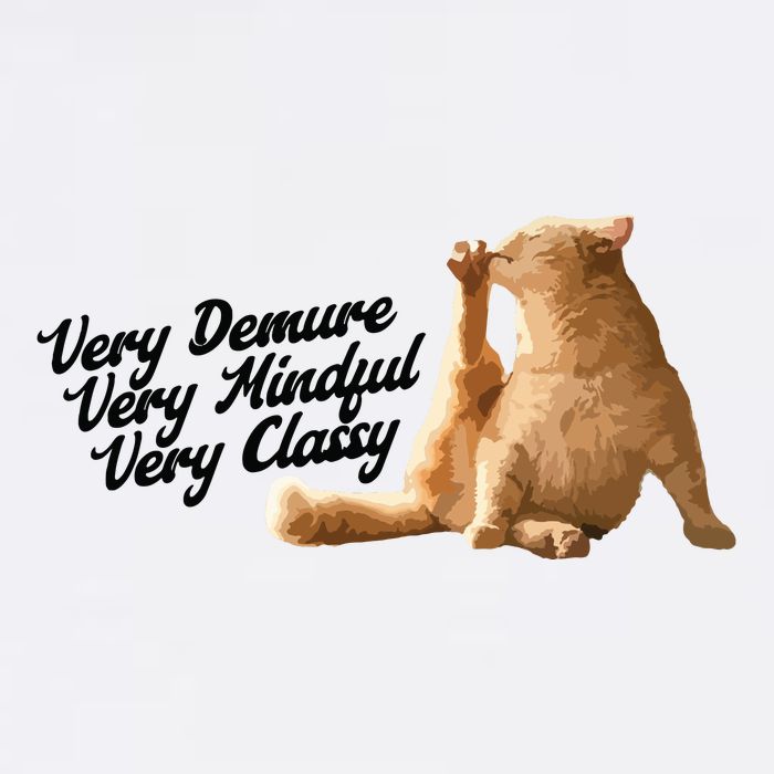 Very Demure Mindful Classy Meme Funny Cat Cropped Pullover Crew