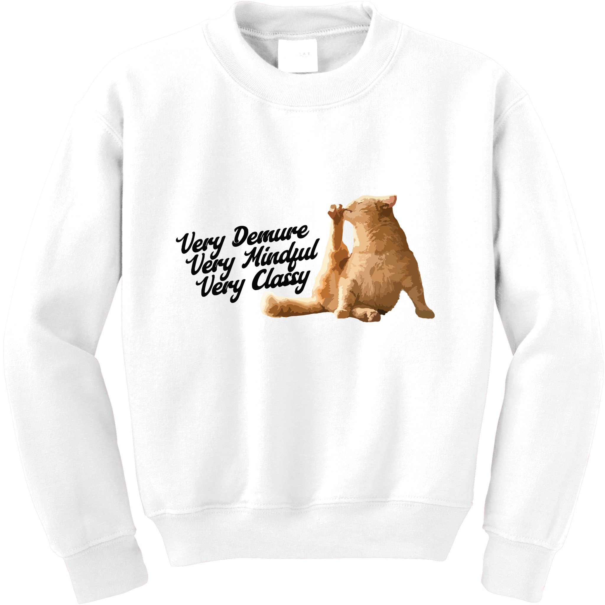 Very Demure Mindful Classy Meme Funny Cat Kids Sweatshirt