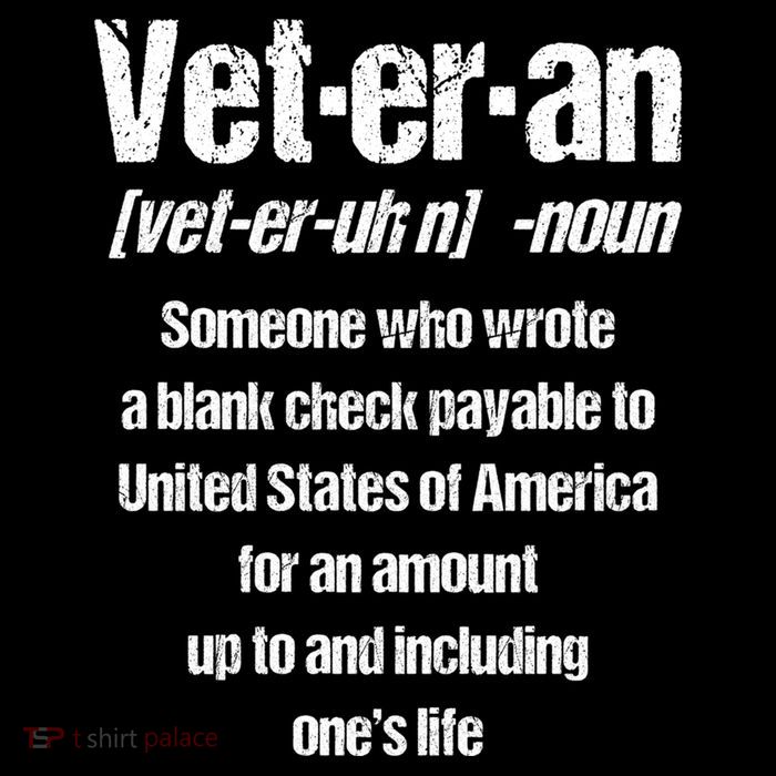 Veterans Day Memorial Day Funny Veteran Noun Us Soldier Great Gift Flatbill Hat