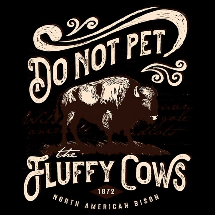 Vintage Do Not Pet the Fluffy Cows American Bison Womens T-Shirt
