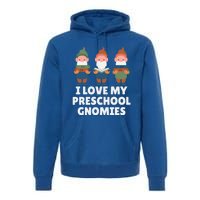 Valentines Day Preschool Teacher I Love My Gnomies Great Gift Premium Hoodie