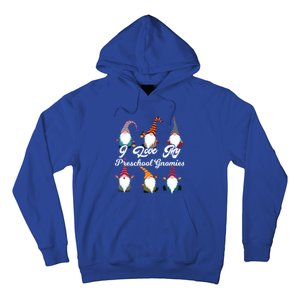 Valentines Day Preschool Teacher I Love My Gnomies Gift Hoodie