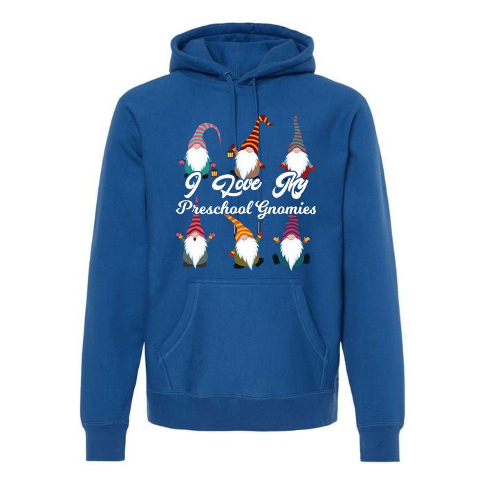 Valentines Day Preschool Teacher I Love My Gnomies Gift Premium Hoodie