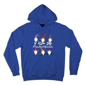 Valentines Day Preschool Teacher I Love My Gnomies Gift Tall Hoodie