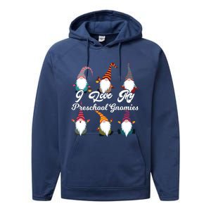 Valentines Day Preschool Teacher I Love My Gnomies Gift Performance Fleece Hoodie