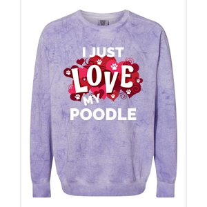 Valentine's Day Poodle Dog Love Gift Meaningful Gift Colorblast Crewneck Sweatshirt