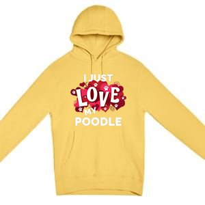 Valentine's Day Poodle Dog Love Gift Meaningful Gift Premium Pullover Hoodie