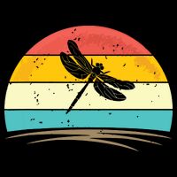 Vintage Dragonfly Retro Distressed Dragonfly Lover T-Shirt