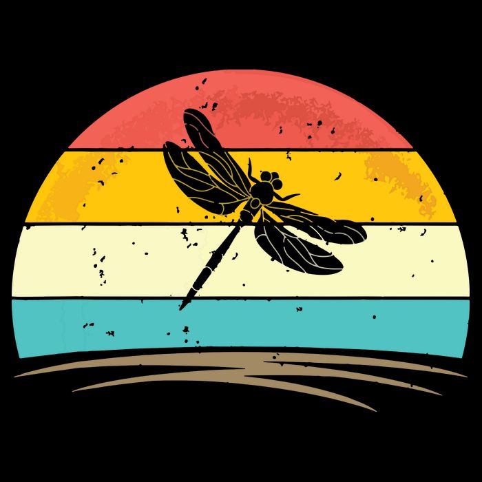 Vintage Dragonfly Retro Distressed Dragonfly Lover T-Shirt