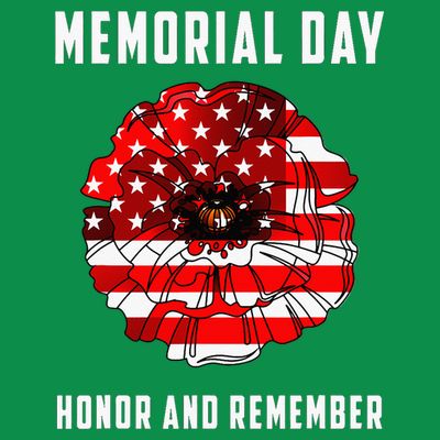 Veterans Day Red Poppy Flower Usa Memorial Day T-Shirt