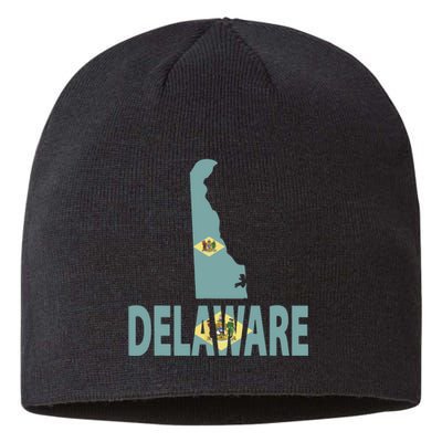 Vintage Delaware State I Love Delaware Home State Sustainable Beanie