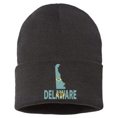 Vintage Delaware State I Love Delaware Home State Sustainable Knit Beanie