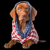 Vizsla Dog USA Flag American Patriotic Dogs 4th Of July Kids Hoodie