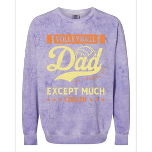 Volleyball Dad Volleyball Cute Gift For The Supportive Dad Great Gift Colorblast Crewneck Sweatshirt