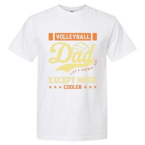 Volleyball Dad Volleyball Cute Gift For The Supportive Dad Great Gift Garment-Dyed Heavyweight T-Shirt